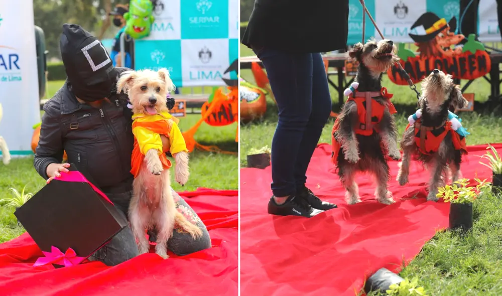 ¡Inscríbelo y participará en el concurso de disfraces caninos más terrorífico! Foto: Serpar