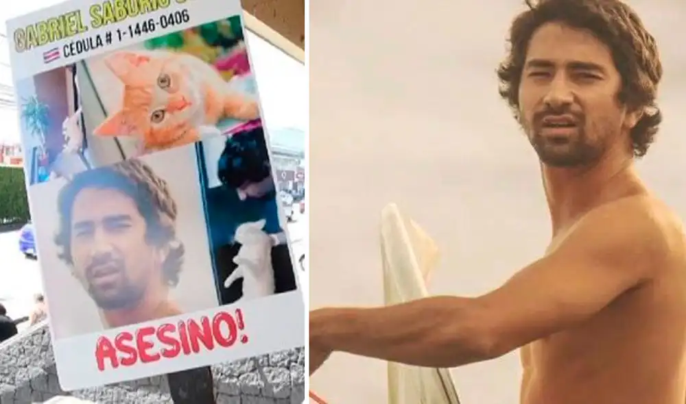 El animal sufrió por la caída múltiples fracturas, luxación, contusiones pulmonares y hemorragias internas, de acuerdo con la necropsia. Foto: composición LR-AFP El animal sufrió por la caída múltiples fracturas, luxación, contusiones pulmonares y hemorragias internas, de acuerdo con la necropsia. Foto: composición LR-AFP