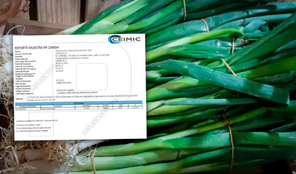 Excongresista menciona que las manchas azules que aparecen en la cebolla china son agroquímicos usados para evitar plagas. Foto: Agraria.pe/composición LR