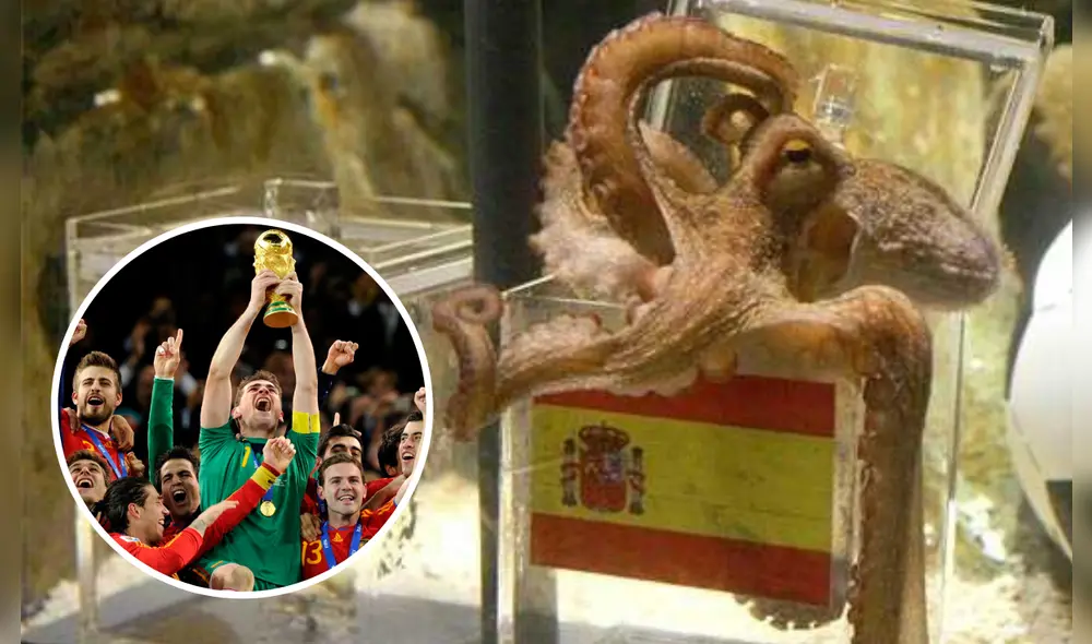El pulpo Paul vaticinó la victoria de España como campeones del mundo en Sudáfrica 2010. Foto: composición LR/Telemadrid/Menudos