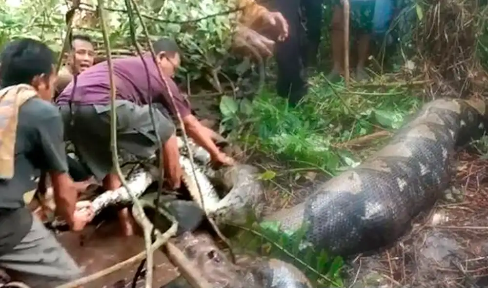 La policía hizo un llamamiento para que las personas estén “más atentas”. Foto: composición LR/ AFP/ referencial