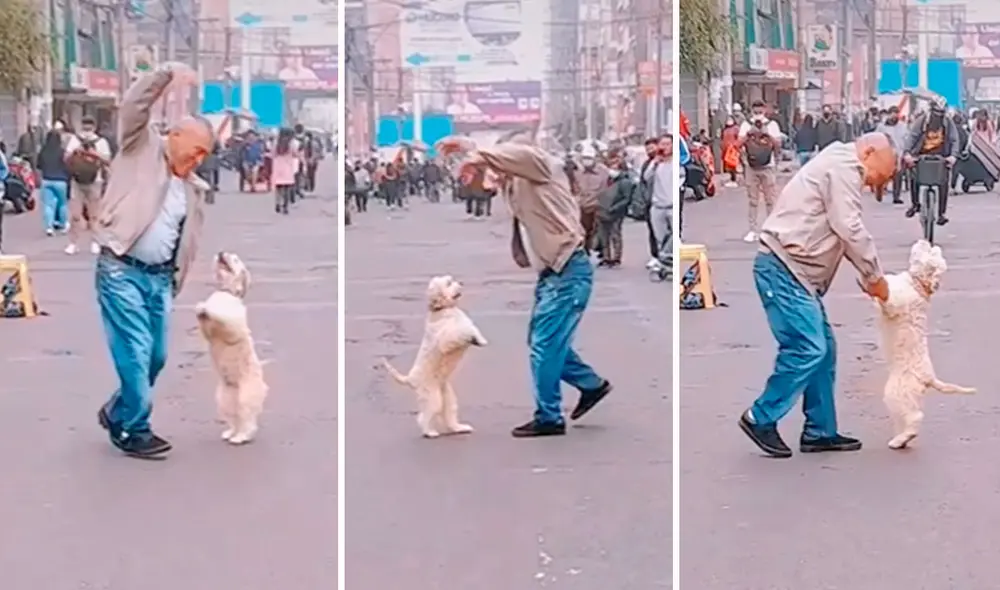 Una transeúnte se detuvo en medio de la calle para apreciar el espectáculo protagonizado por un artista y su mascota. Foto: composición LR/TikTok/@marysolcarrillobe Una transeúnte se detuvo en medio de la calle para apreciar el espectáculo protagonizado por un artista y su mascota. Foto: composición LR/TikTok/@marysolcarrillobe