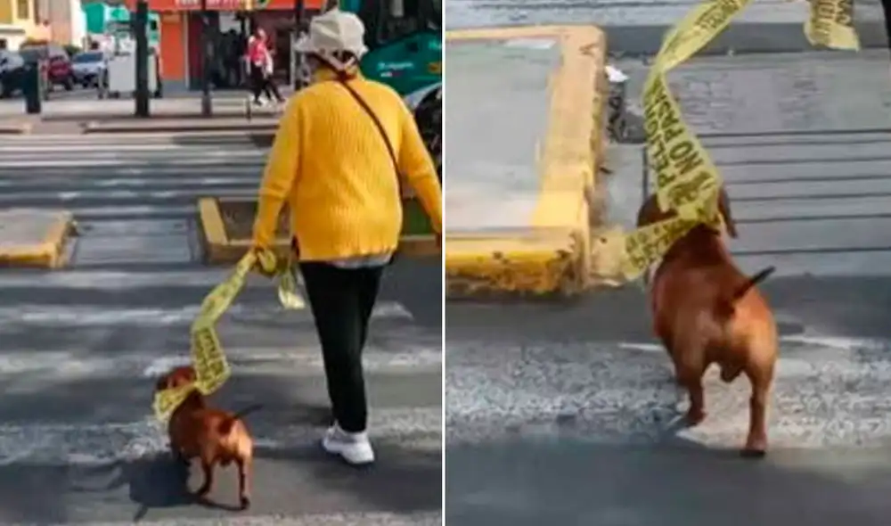 La divertida escena no pasó desapercibida y se hizo viral en redes sociales. Foto: composición LR/TikTok