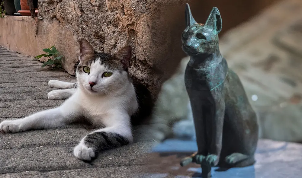 Los egipcios hacían estatuillas de gatos para protegerse de la mala suerte. Foto: composición LR / AFP