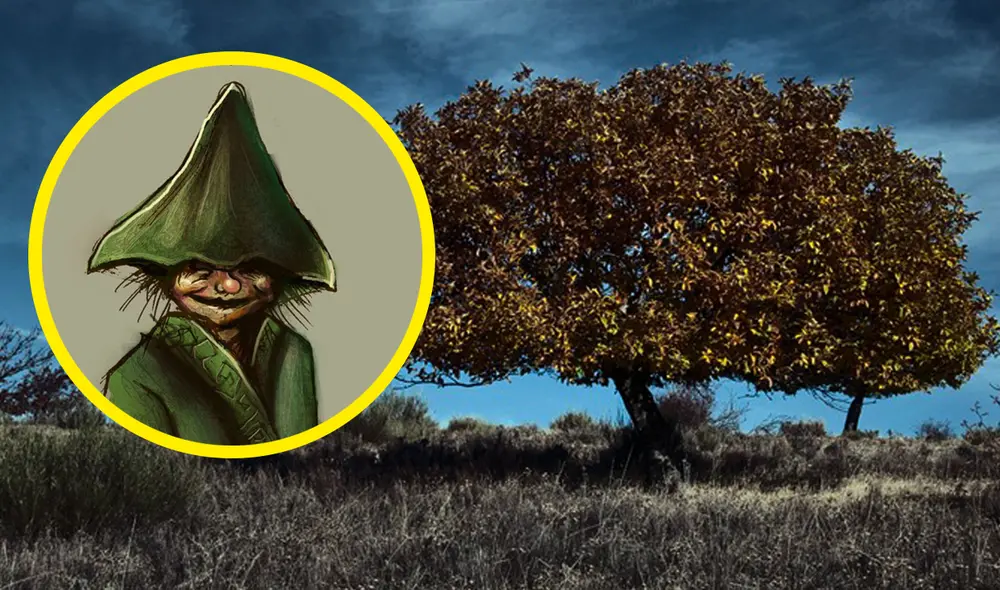 Las higueras son populares en Perú debido a su asociación con la leyenda de los duendes. Foto: composición La República/Pablo Dotta Sommelier/Región Litoral