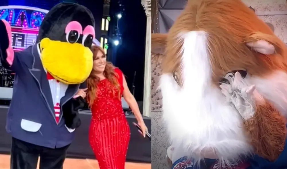 Magaly Medina se luce junto a la Urraca, que antes estuvo como Cuy de "En boca de todos". Foto: composición LR/ captura de Instagram/ captura de América TV Magaly Medina se luce junto a la Urraca, que antes estuvo como Cuy de "En boca de todos". Foto: composición LR/ captura de Instagram/ captura de América TV