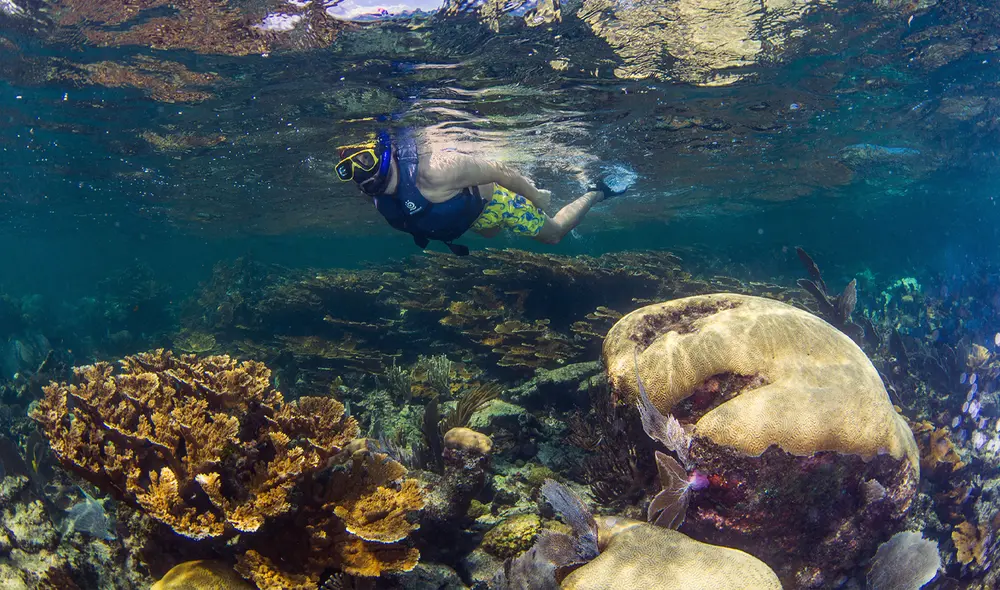 Cancún es destino directo de Volaris, aerolínea low cost. Foto: archivo La República Cancún es destino directo de Volaris, aerolínea low cost. Foto: archivo La República