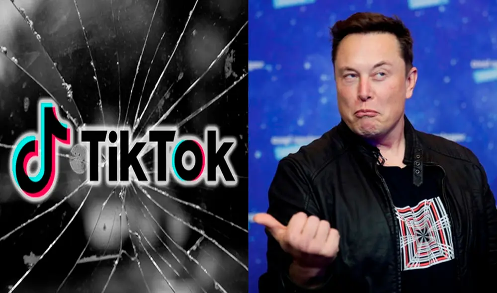 Elon Musk pagó 44.000 millones de dólares por Twitter. Foto: Vice / Happy Mag