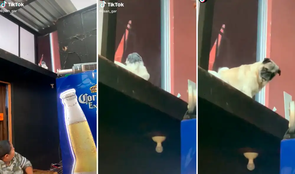 El clip ya ha logrado más de 13 millones de visualizaciones. Foto: composición LR/captura de TikTok/@Jsan_gar