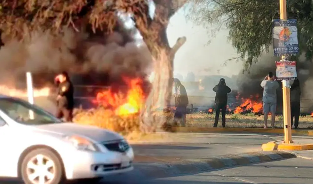 Foto: El Financiero Foto: El Financiero