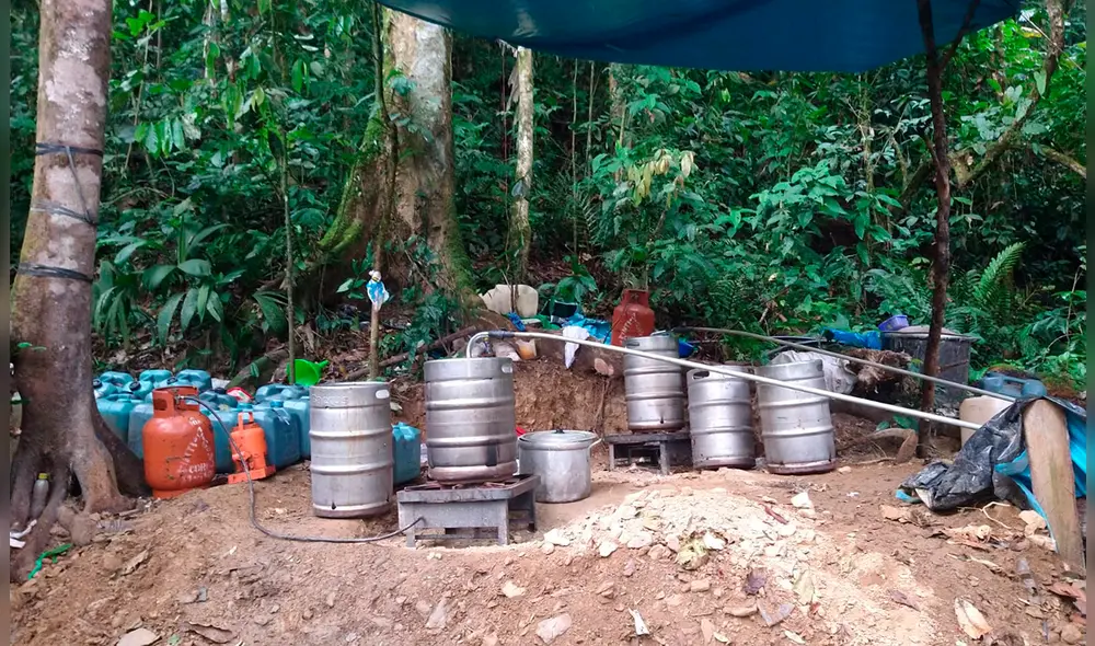 Devida reportó un aumento de la producción del principal insumo para la cocaína. Foto: PNP Devida reportó un aumento de la producción del principal insumo para la cocaína. Foto: PNP