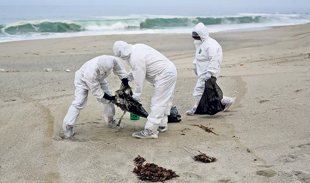 Control. Expertos analizan las condiciones de las playas para decidir si conviene aislarlas. Foto: Antonio Melgarejo