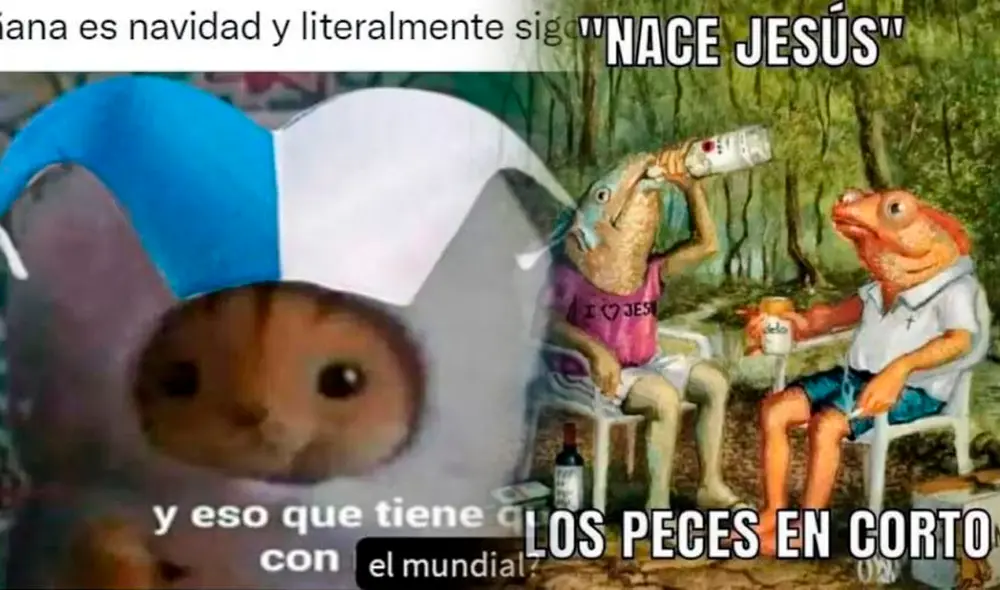 ¿Ya compartiste los memes más graciosos de la temporada navideña? Foto: difusión