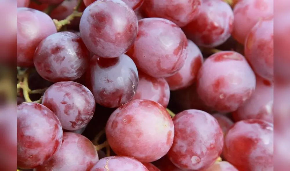 El Perú despacha, mayormente, uva de la variedad Red Globe. Sin embargo, otras se vienen posicionando en los últimos años. Foto: difusión