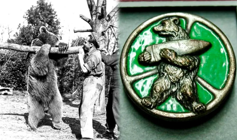 Wojtek fue encontrado por los soldados polacos cuando era solo un bebé. ¿Cómo se convirtió en soldado? AQUÍ te lo contamos. Foto: composición LR/ Jazmín Ceras/ Twitter