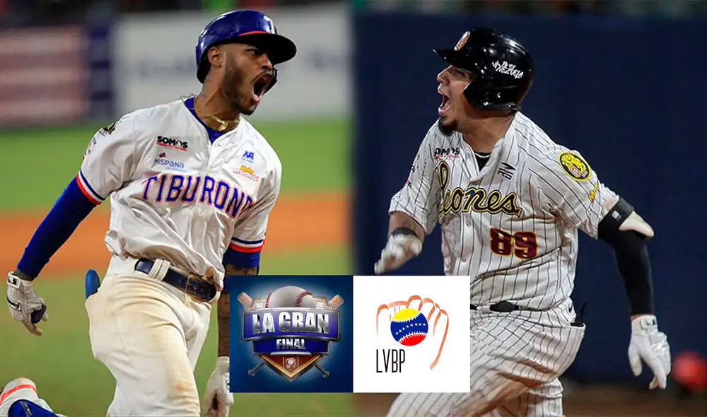 Tiburones de La Guaira y Leones del Caracas se medirán en una serie al mejor de 7 juegos. Foto: composición LR / LVBP Tiburones de La Guaira y Leones del Caracas se medirán en una serie al mejor de 7 juegos. Foto: composición LR / LVBP