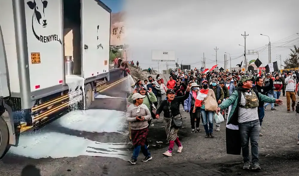 Foto: composición Jazmín Ceras-LR/ Rodrigo Talavera-LR