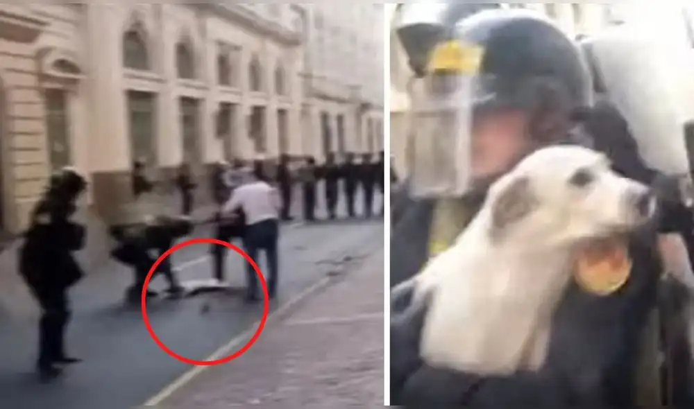 El can fue auxiliado por los efectivos PNP. Foto: captura de video/ LR + El can fue auxiliado por los efectivos PNP. Foto: captura de video/ LR +