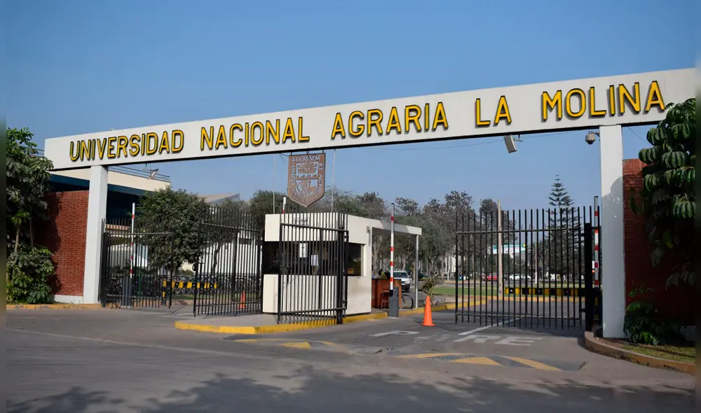 Los alumnos de la universidad Agraria se están organizando para recibir donaciones y ayudar a los ciudadanos que llegaron de otras regiones a protestar. Los alumnos de la universidad Agraria se están organizando para recibir donaciones y ayudar a los ciudadanos que llegaron de otras regiones a protestar.
