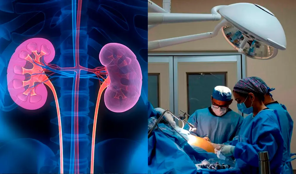 La Policía local señaló que la clínica no estaba habilitada por las entidades correspondientes y que el título del médico también parece ser fraudulento. La Policía local señaló que la clínica no estaba habilitada por las entidades correspondientes y que el título del médico también parece ser fraudulento.