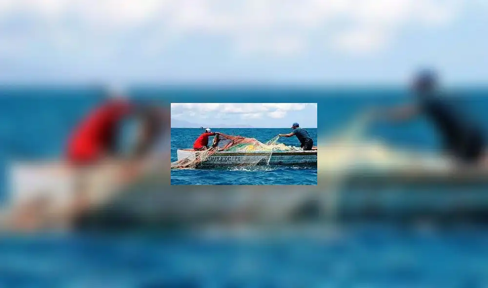 Iniciativa tiene como finalidad garantizar la disponibilidad de los recursos pesqueros y la seguridad alimentaria del país. Para ello, busca modificar diversos artículos de la Ley General de Pesca.