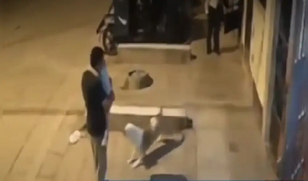 Las cámaras de seguridad registraron el momento exacto en que el can, que estaba sin correa ni bozal, se lanza sobre el sujeto e intenta morder las piernas de la menor. Video: Panamericana Las cámaras de seguridad registraron el momento exacto en que el can, que estaba sin correa ni bozal, se lanza sobre el sujeto e intenta morder las piernas de la menor. Video: Panamericana