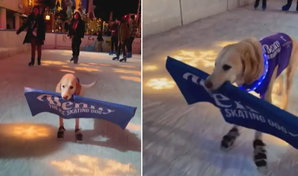 Miles de usuarios han quedado impresionados con este video. Foto: composición LR/TikTok Miles de usuarios han quedado impresionados con este video. Foto: composición LR/TikTok