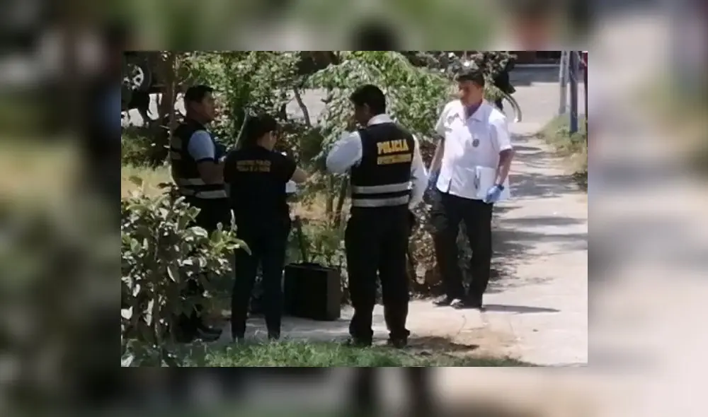 Con los análisis respectivos, se comprobó que no eran restos humanos. Foto: captura Sol Tvperú Con los análisis respectivos, se comprobó que no eran restos humanos. Foto: captura Sol Tvperú