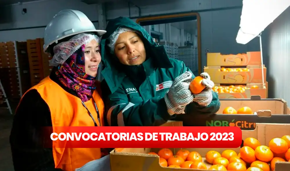 Convocatoria de trabajo 2023: Senasa ofrece puestos de trabajo en cuatro regiones. Foto: composición LR/Senasa Convocatoria de trabajo 2023: Senasa ofrece puestos de trabajo en cuatro regiones. Foto: composición LR/Senasa