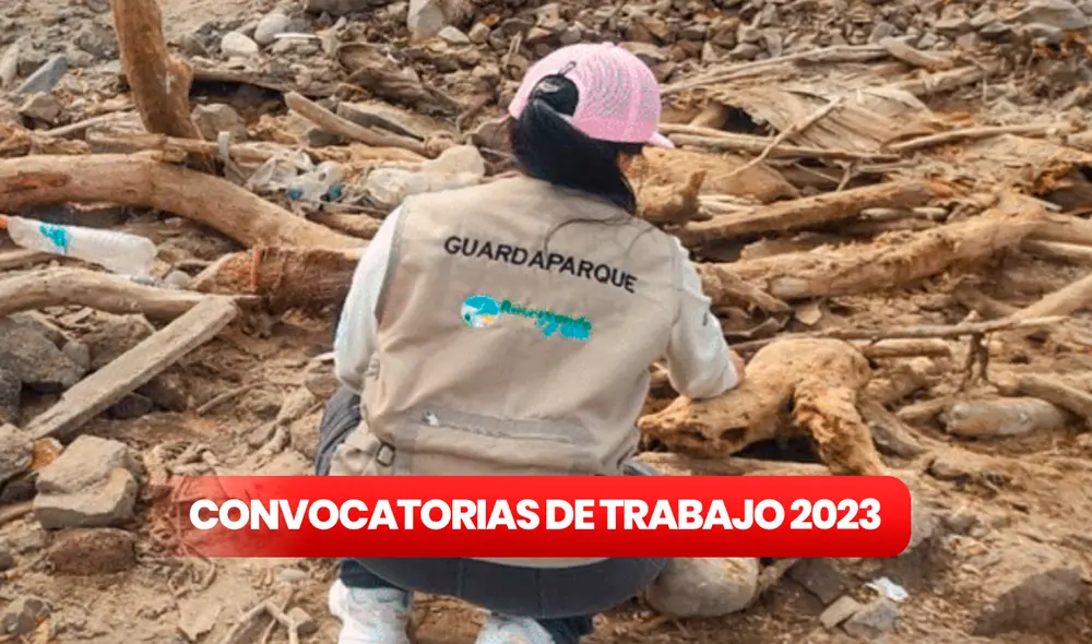 Covnocatoria de trabajo 2023 en Sernanp: entérate de todos los detalles para postular a estos empleos. Foto: composición LR/Sernanp Covnocatoria de trabajo 2023 en Sernanp: entérate de todos los detalles para postular a estos empleos. Foto: composición LR/Sernanp