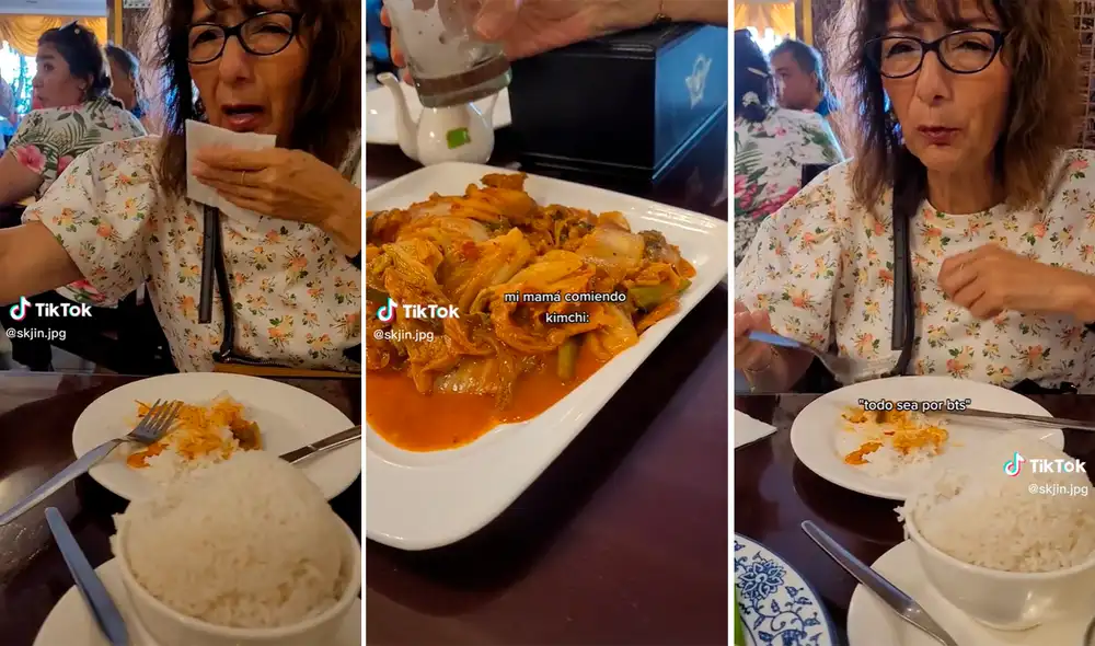 El clip logró acumular más de 588.000 visualizaciones en la red social | Foto: composición LR/TikTok/@Skjin.Jpg