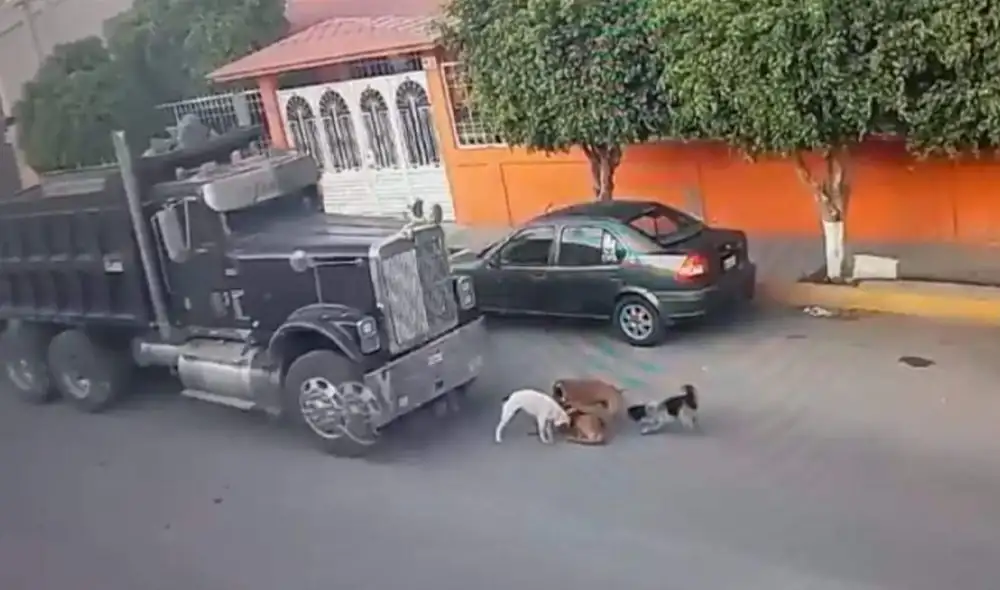 El camión, en vez de detenerse, sigue su camino y los arrolla