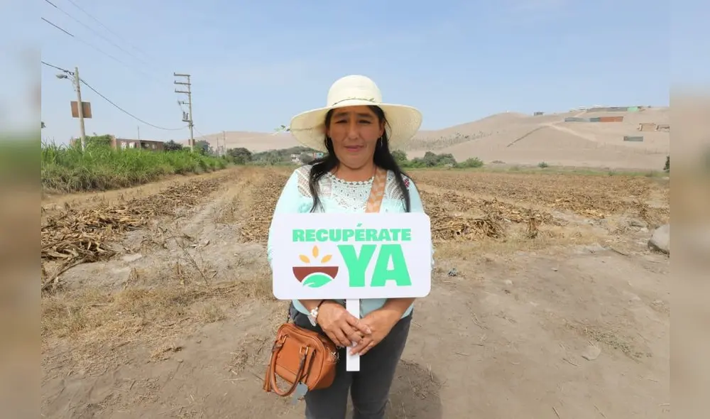 Midagri lanzó bono Sequía Recupérate ya para agricultores y criadores de alpaca. Foto: Midagri Midagri lanzó bono Sequía Recupérate ya para agricultores y criadores de alpaca. Foto: Midagri