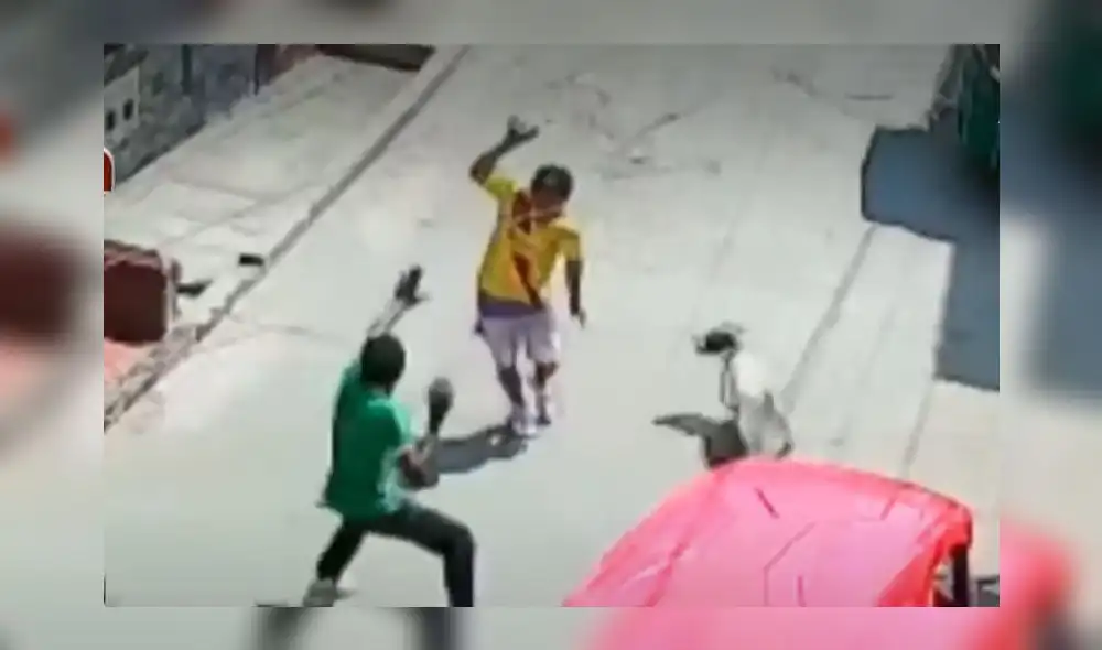 Vecinos indicaron que no es la primera vez que el animal intenta atacar a alguien. Foto: captura / ATV Noticias Vecinos indicaron que no es la primera vez que el animal intenta atacar a alguien. Foto: captura / ATV Noticias