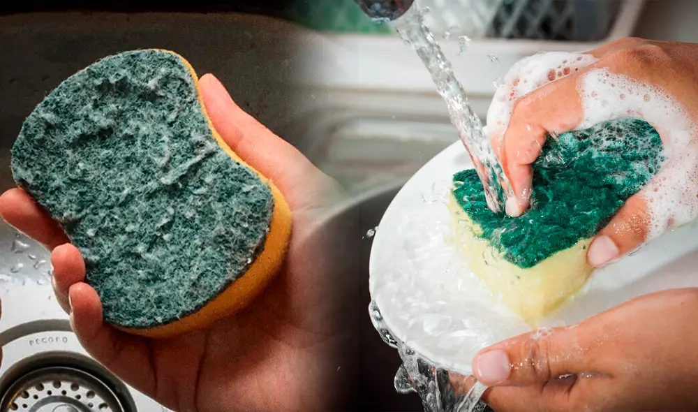 Descubre qué debes hacer para que tu esponja dure más tiempo. Foto: composición LR/Facebook/Pinterest