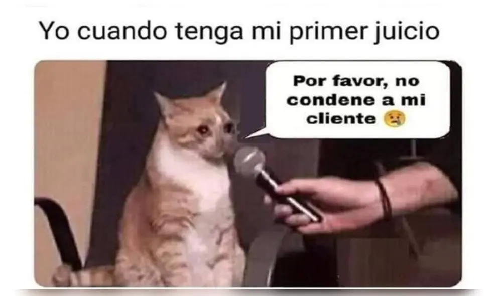 Memes por el Día Internacional del Abogado. Foto: Twitter