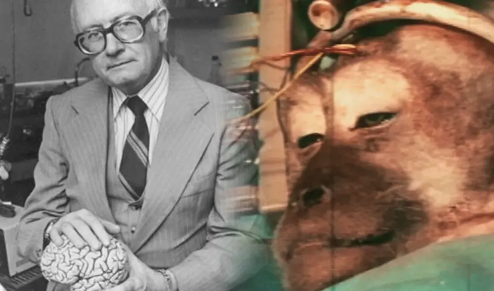 Robert Joseph White realizó más de 10.000 operaciones quirúrgicas y al menos de 900 publicaciones sobre neurocirugía clínica. Foto: Composición LR/XLSemanal/VICE Robert Joseph White realizó más de 10.000 operaciones quirúrgicas y al menos de 900 publicaciones sobre neurocirugía clínica. Foto: Composición LR/XLSemanal/VICE