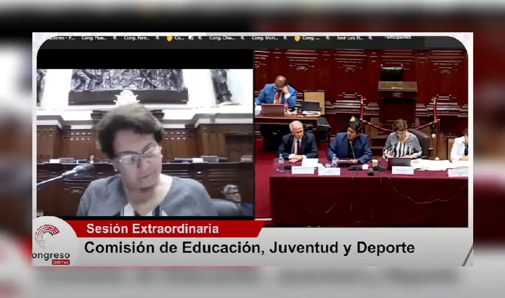 Comisión de Constitución. Foto: captura de Congreso TV - Video: Comisión de Educación/Youtube