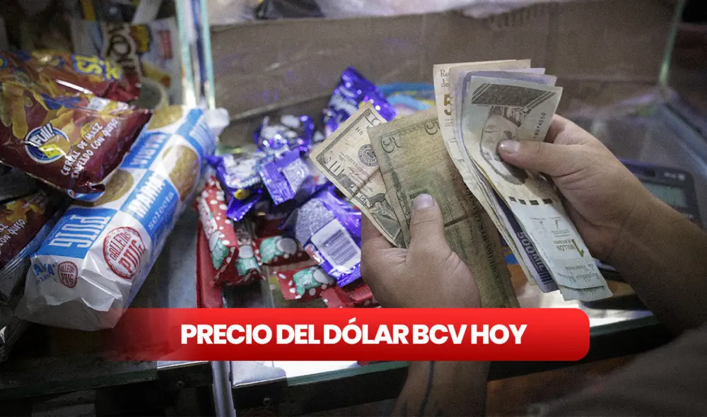Precio del dólar BCV hoy, miércoles 8 de febrero de 2023, en Venezuela. Foto: composición LR Precio del dólar BCV hoy, miércoles 8 de febrero de 2023, en Venezuela. Foto: composición LR