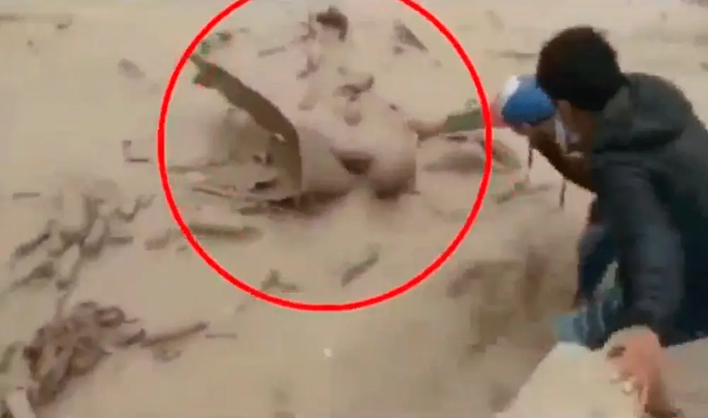 El huaico se produjo alrededor de las 15.00 h. El torrente de agua y barro arrasó con todo a su paso. Foto: difusión/Twitter El huaico se produjo alrededor de las 15.00 h. El torrente de agua y barro arrasó con todo a su paso. Foto: difusión/Twitter