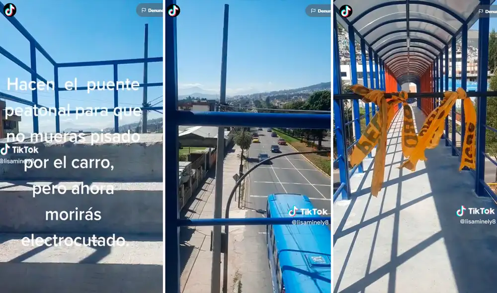 Video generó miles de comentarios de los usuarios. Foto: composición de LR/TikTok/@Lisaminely8 Video generó miles de comentarios de los usuarios. Foto: composición de LR/TikTok/@Lisaminely8