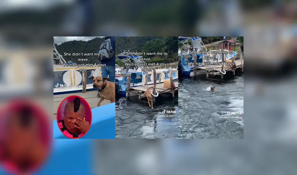 El viajero prometió que un día volvería por ella. Foto: composición LR/captura Tiktok/@federico_di_summa