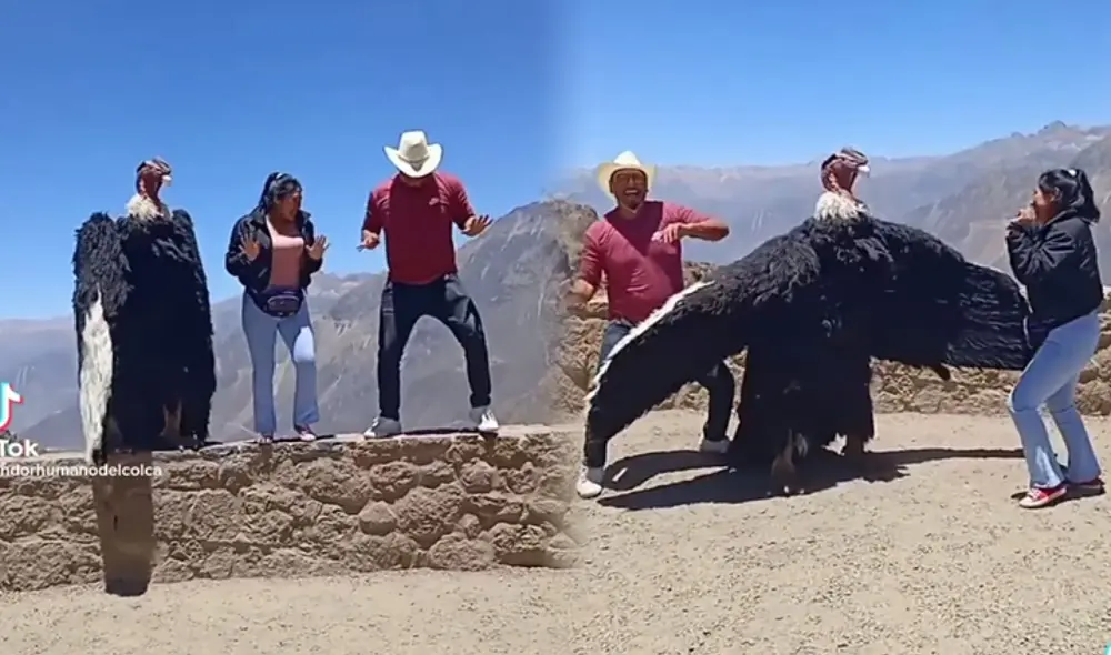 'Cóndor humano' acostumbra bailar con visitantes en Arequipa. Foto: composición Fabrizio Oviedo