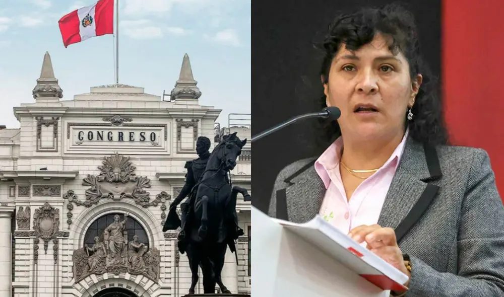 Lilia Paredes es sindicada como integrante de una presunta organización criminal liderada por Pedro Castillo. Foto: composición LR/Congreso/Presidencia