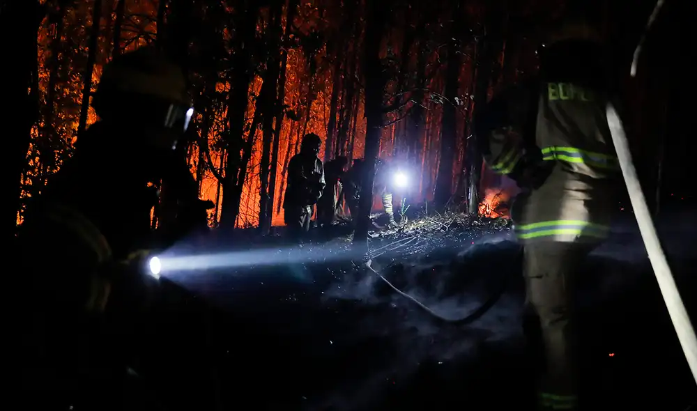 Los incendios forestales en Chile han generado pérdidas de aproximadamente 270.000 hectáreas. Foto: AFP