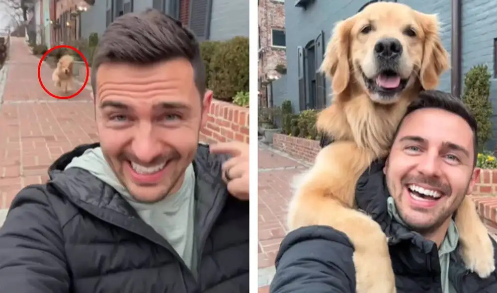 El video se viralizó en todas las redes sociales. Foto: composición LR/captura de Instagram/@elliegoldenlife