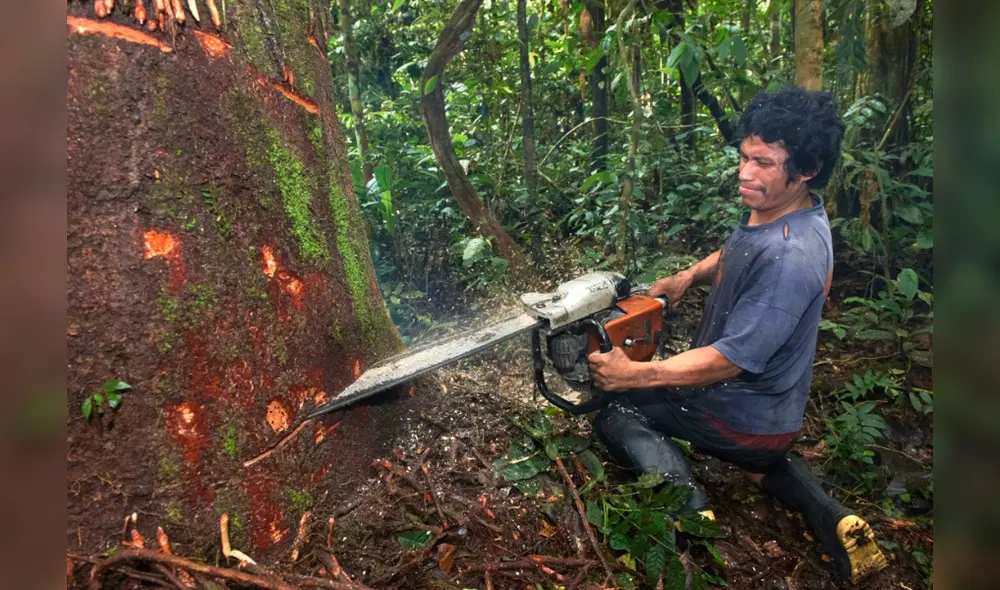 Fuente: Difusión Fuente: Difusión