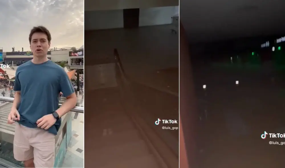 Miles de usuarios quedaron sorprendidos al ver este video viral. Foto: composición LR/TikTok Miles de usuarios quedaron sorprendidos al ver este video viral. Foto: composición LR/TikTok