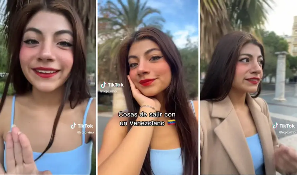 El video ha logrado más de 900.000 reproducciones en TikTok. Foto: composición LR/captura de TikTok/@rojo.vino