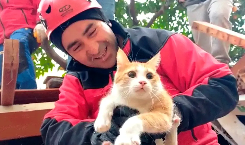 Pese a mostrar resistencia, logró ser rescatado en medio de sonrisas, incluso posó con el rescatista frente a la cámara. Foto y video: @PhoenixCNE_News /Twitter